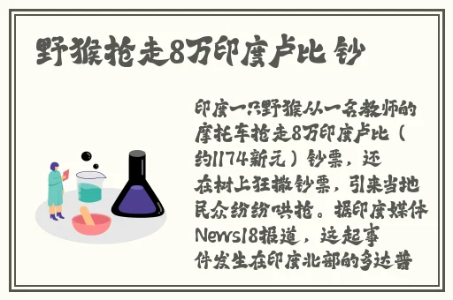 亚洲区**区激情区小说